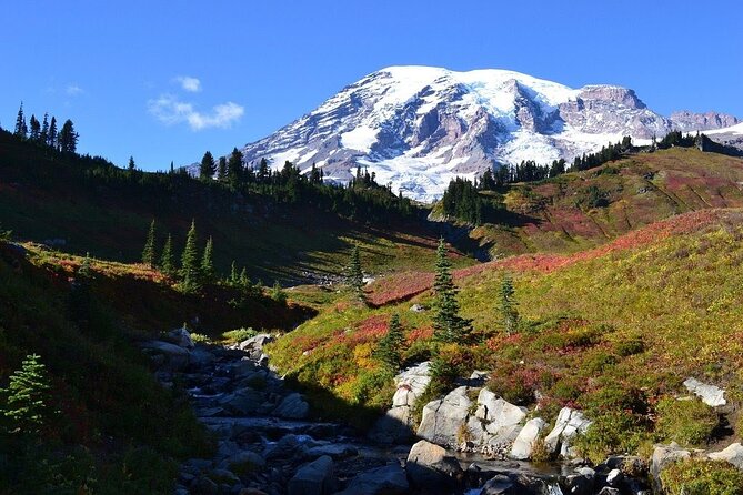 2 Day Mt Rainier All-Inclusive Small Group Tour - Getting from Downtown Seattle to the mountain, without turning it into a hassle