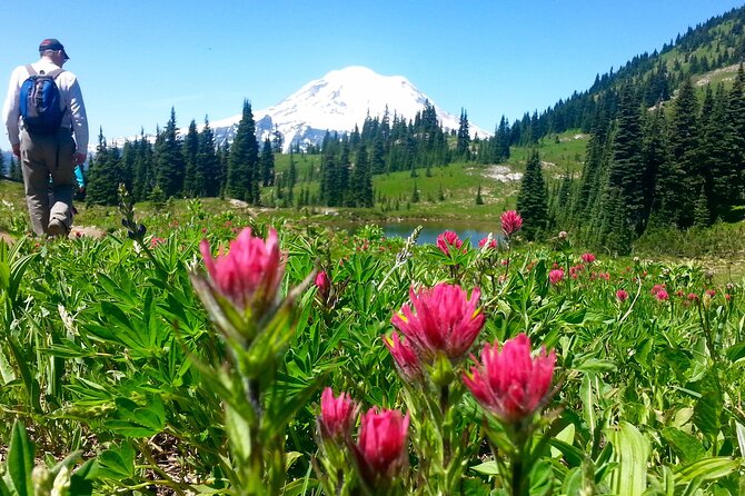 2 Day Mt Rainier All-Inclusive Small Group Tour - Sunrise Visitor Center: the high-elevation start that sets your expectations