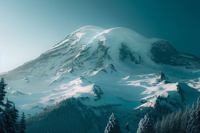 2 Day Washington State Tour in Mt Rainier and Seattle Highlights - Price and what your $340 covers in real terms
