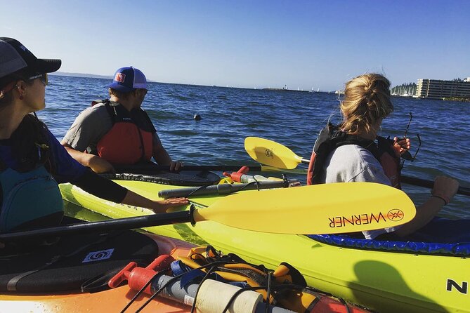 2 Hour Sound Tour - Shilshole Marina in Ballard, your easy launch point
