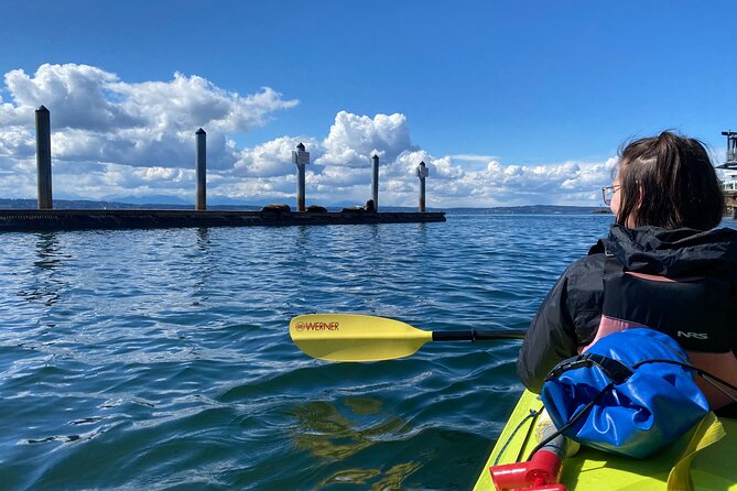 2 Hour Sound Tour - Price and value, why $118 can work if you like guided access
