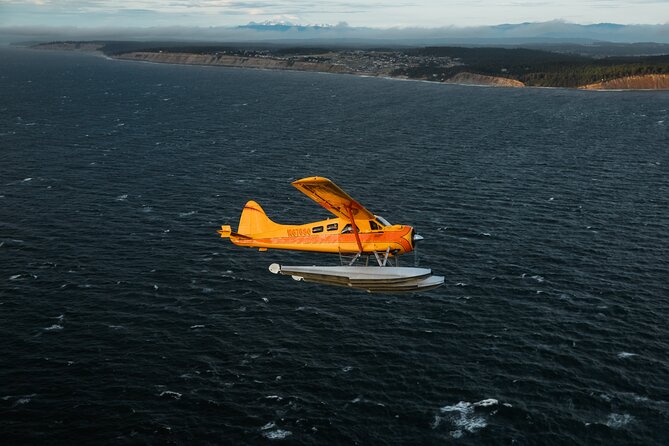 3 Hours San Juan Island Seaplane Tour from Seattle - Key things to know before you fly