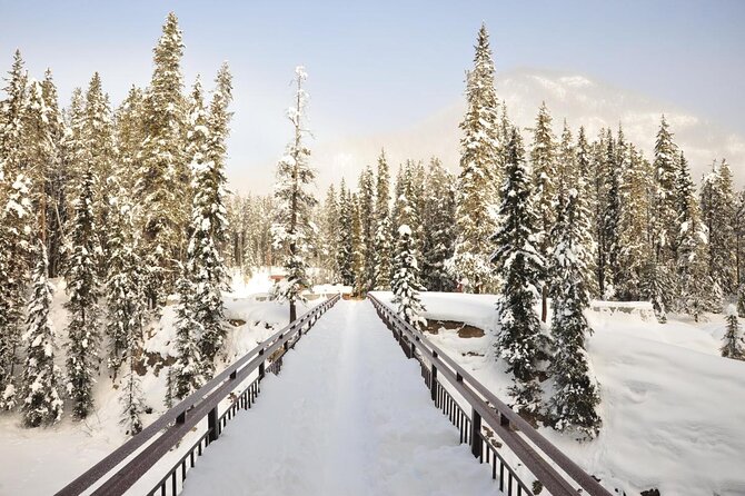 7-Day Small Group Tour: Canadian Rockies and National Parks - Key Highlights Worth Planning For