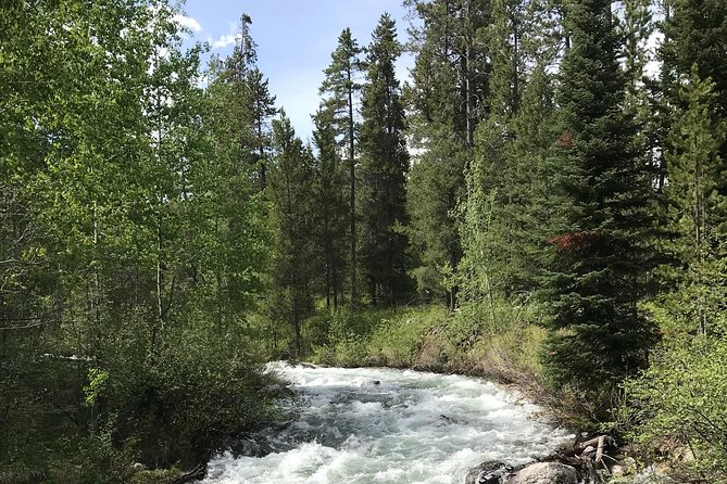 7-Day Small Group Tour: Canadian Rockies and National Parks - Day 4: Icefields Parkway Day, Bow Glacier Falls Trail, and Optional Add-Ons