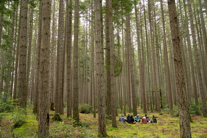 Bainbridge Island Serenity Forest Hike & Cultural Landmarks Tour - Key Highlights You’ll Actually Feel During the Tour