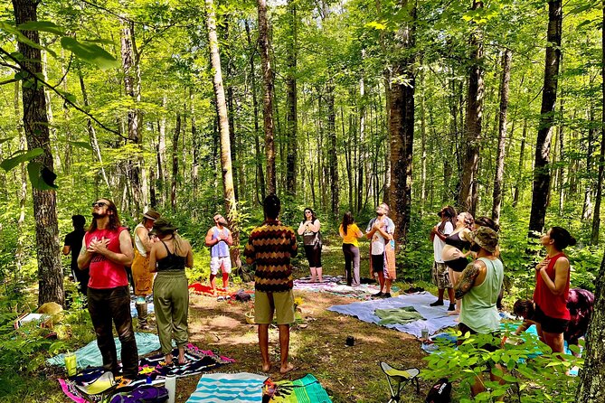 Bainbridge Island Serenity Forest Hike & Cultural Landmarks Tour - Price and Logistics, Is $235 Per Person Worth It?