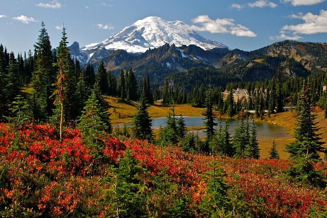 Best of Mount Rainier National Park from Seattle: All-Inclusive Small-Group Tour - Key points worth knowing before you go