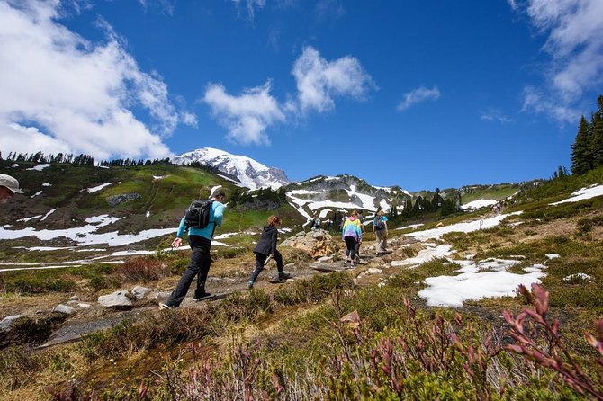 Best of Mount Rainier National Park from Seattle: All-Inclusive Small-Group Tour - Stop 1: Longmire and the old-growth forests that set the tone