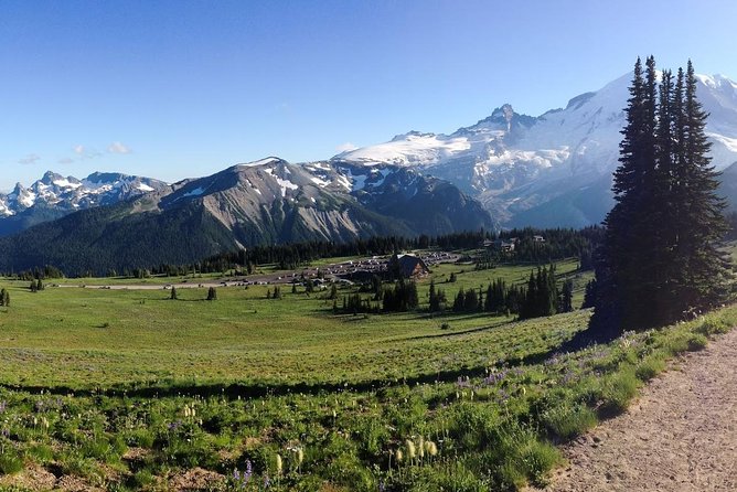 Best of Mount Rainier National Park from Seattle: All-Inclusive Small-Group Tour - Stop 4: Paradise Valley, summer berries or winter snowshoe solitude