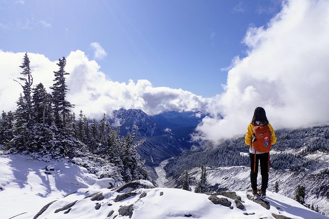Best of Mount Rainier National Park from Seattle: All-Inclusive Small-Group Tour - Stop 5: Henry M. Jackson Visitor Center, where questions get answered