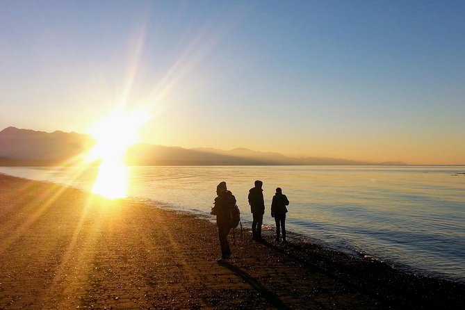 Best of Olympic National Park from Seattle: All-Inclusive Small-Group Day Tour - Why this Olympic National Park day feels easier than doing it solo