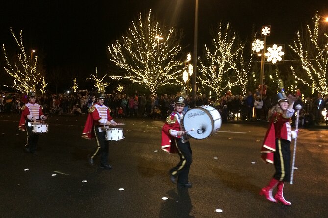 Christmas Lights and Snowflake Lane photo tour - Bellevue Square and Snowflake Lane: The 300-Performer Snow Parade