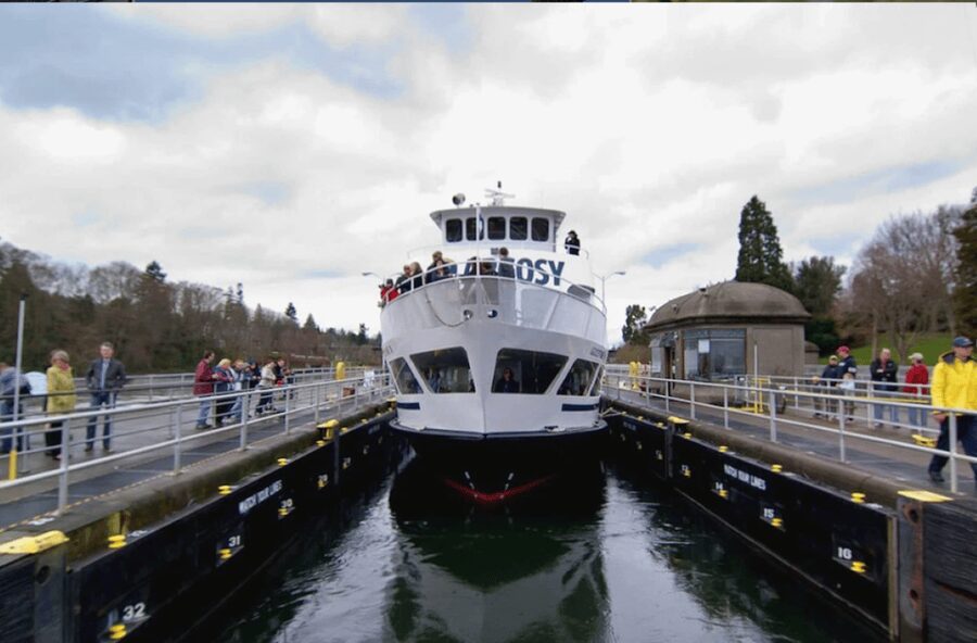 City Sightseeing Seattle: HOHO Bus Tour + Locks Cruise - Chinatown Gate to Pike Place: old meets popular, fast