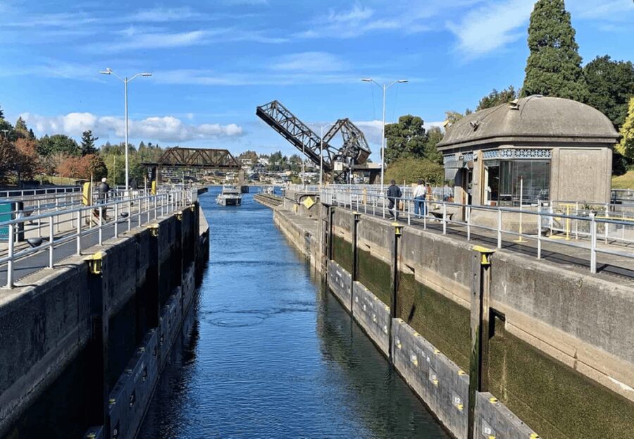 City Sightseeing Seattle: HOHO Bus Tour + Locks Cruise - The included one-way Locks Cruise from Pier 55