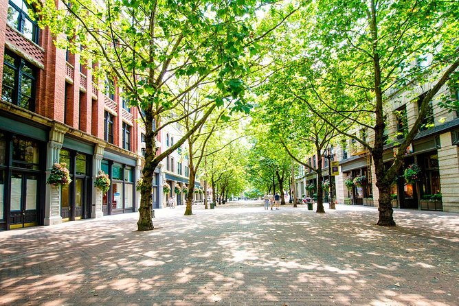 CitySightseeing Seattle Hop-On Hop-Off Bus Tour + Bookable Extras - Practical tips to avoid the common Seattle hop-on headaches