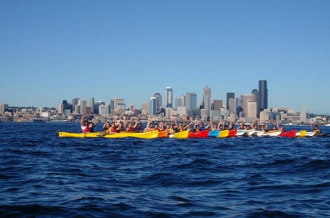 Elliott Bay Sea Kayak Tour - Learning from your guide: local flora and fauna on a city water route