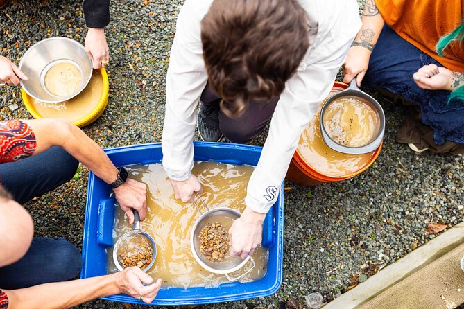 Experience Mining For Genuine Montana Sapphires in Seattle - Meet Mary Elizabeth: The Guide-Driven Part You Should Appreciate