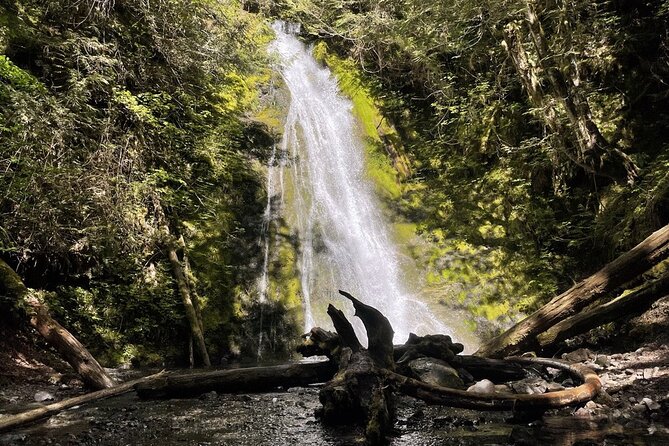Experience the Spectacular Beauty of the Olympic Peninsula - Sol Duc Valley: salmon cascades and old growth you can walk through