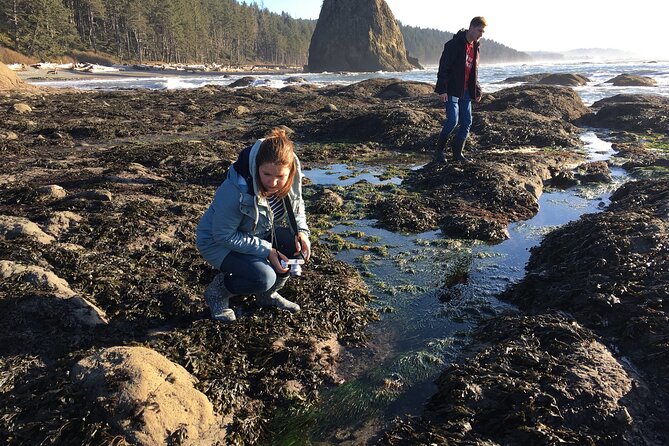 Experience the Spectacular Beauty of the Olympic Peninsula - Price and value: $1,240 per group up to 3, and what you get for it
