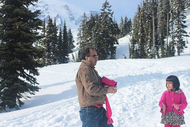 Explore Mt. Rainier National Park with a Local Guide - Henry M. Jackson Visitor Center and Paradise: Wildflowers and Big Views
