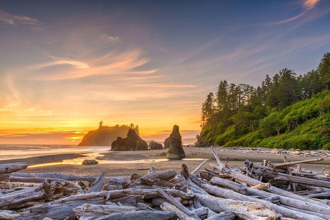 Explore Olympic National Park from Seattle through Van /Ferry - Key things worth knowing before you go
