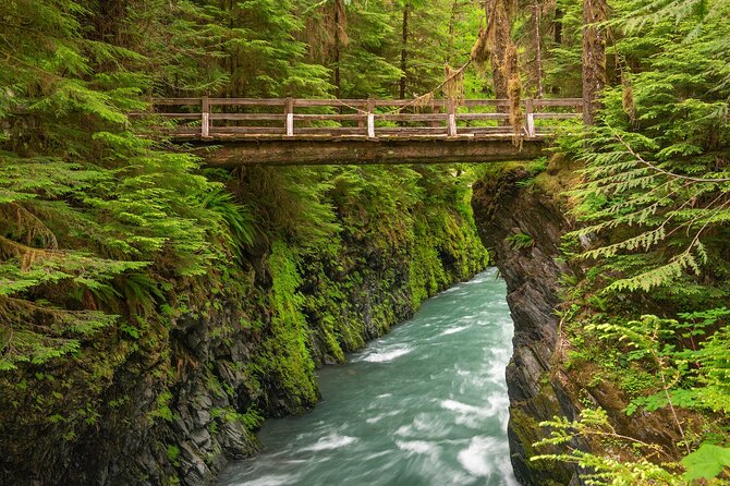 Explore Olympic National Park from Seattle through Van /Ferry - The Olympic Game Farm: animal encounters, and the one extra fee to know