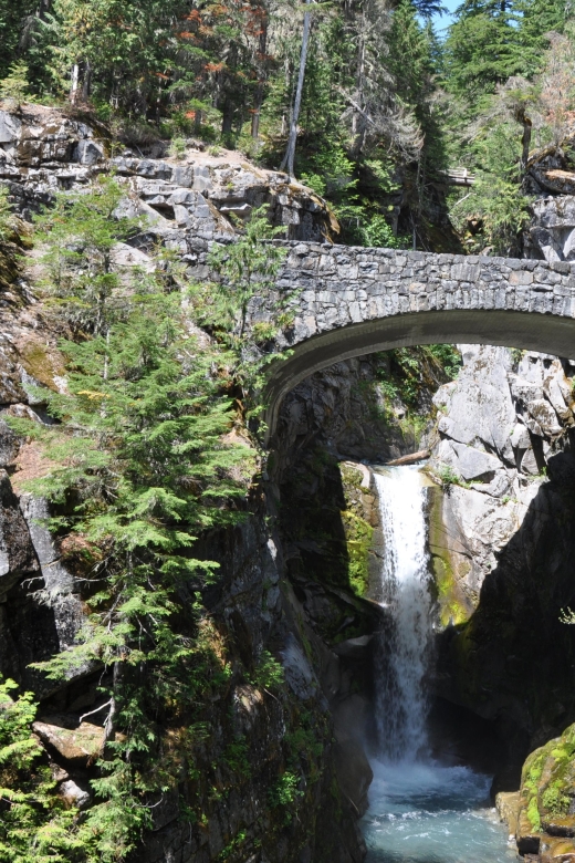 From Seattle: Customized Mount Rainier Tour - Key things you will notice on this tour