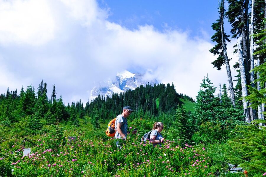 From Seattle: Customized Mount Rainier Tour - Who this Mount Rainier day trip fits best