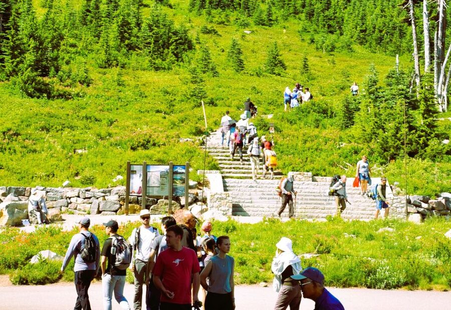 From Seattle: Customized Mount Rainier Tour - The drive south of Rainier: where the scenery starts before the park