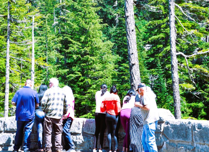 From Seattle: Customized Mount Rainier Tour - Entering the park: river views and waterfall timing (Nisqually, Christine, Narada)