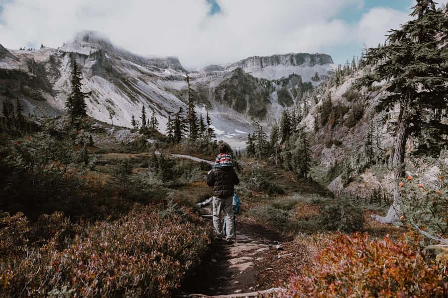 From Seattle - Enchanting Mt Baker & Cascade mountains tours - Fairhaven and Bellingham time: art town energy, with a real reason to stop