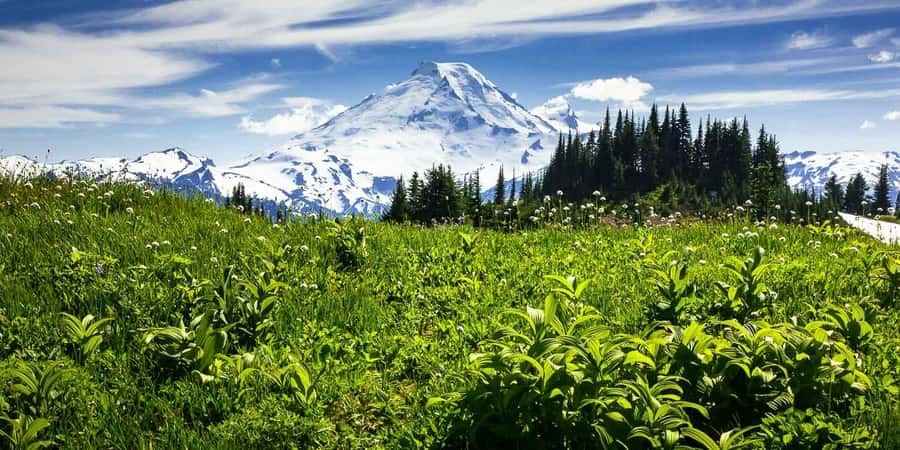 From Seattle - Enchanting Mt Baker & Cascade mountains tours - Larabee State Park and Fragrance Lake, a quiet start that resets your eyes