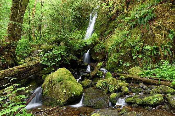 From Seattle Hoh rain forest and Olympic National Park Highlight - Key things that make this day tour work