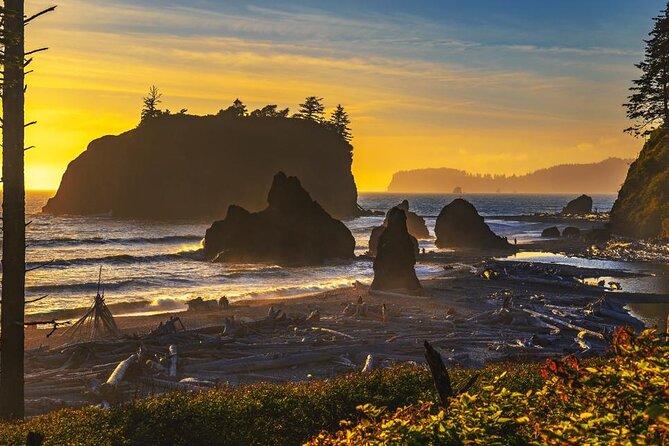 From Seattle Hoh rain forest and Olympic National Park Highlight - Forks: Twilight-Themed Town Time Plus Real Lunch Options