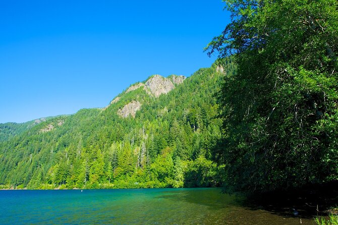 From Seattle Hoh rain forest and Olympic National Park Highlight - Who This Tour Fits Best, and Who Might Want a Different Plan