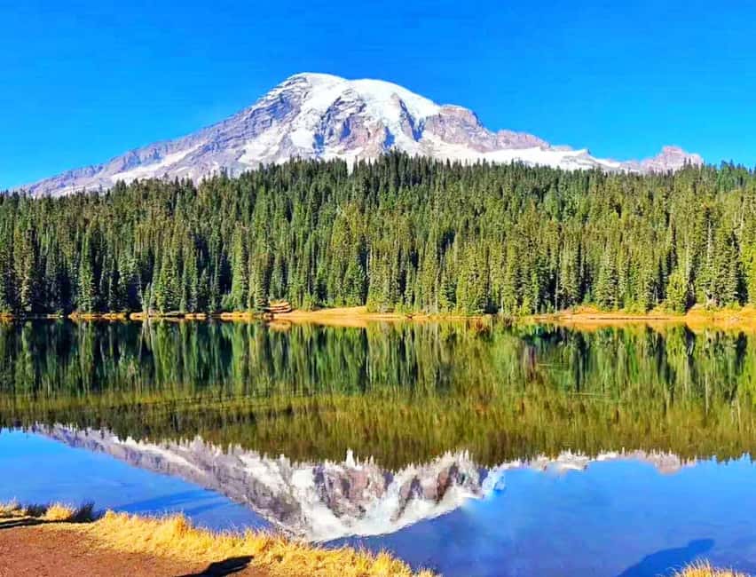 From Seattle: Mount Rainier Guided Day Tour - Key Highlights You’ll Feel the Most