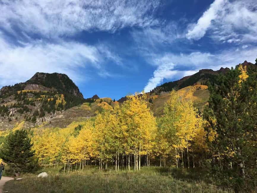 From Seattle: Mount Rainier Guided Day Tour - Longmire Museum: Your Quick Primer Before the Main Views