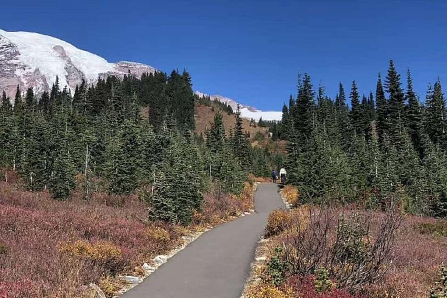 From Seattle: Mount Rainier Guided Day Tour - Winter Option: Longmire and a Wonderland Trail Walk