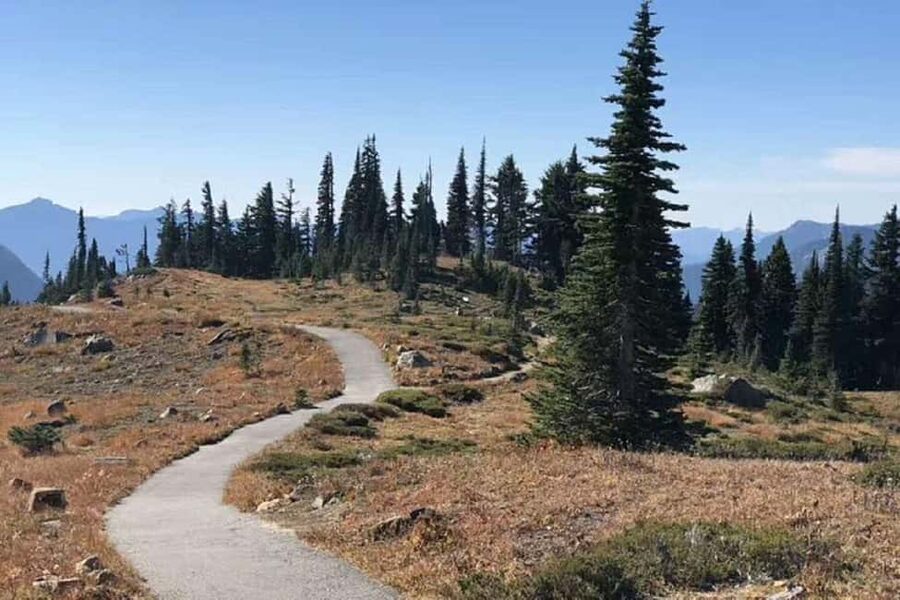 From Seattle: Mount Rainier National Park 1-Day Tour - Key things you should know before you go