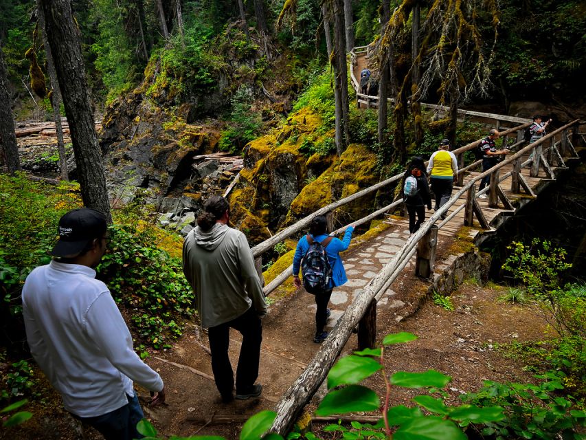 From Seattle: Mount Rainier National Park Guided Tour - Key highlights you will feel right away