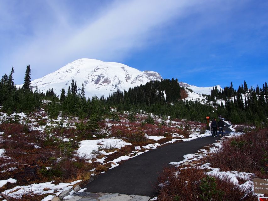From Seattle: Mount Rainier National Park Guided Tour - Meeting MoPop at 6:55 AM, then aiming straight for Rainier