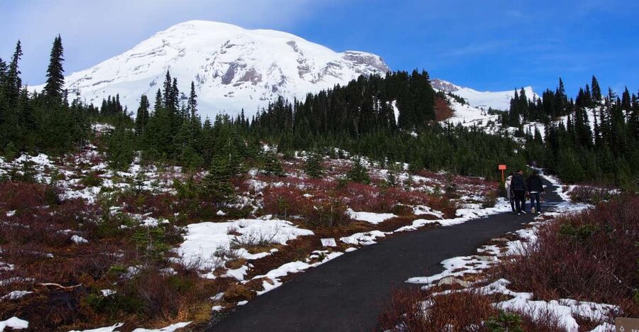 From Seattle: Mount Rainier National Park Guided Tour - Sunrise area and Sourdough Ridge: where the day often turns into a hike
