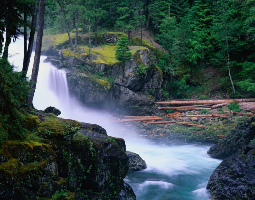 From Seattle: Mount Rainier National Park Guided Tour - Old-growth forests, wildflower meadows, and thundering waterfalls
