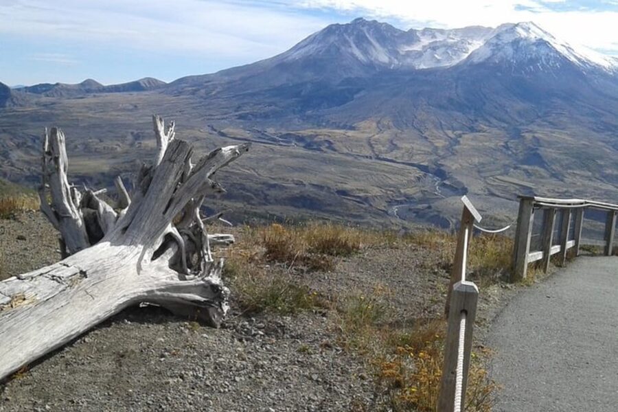 From Seattle: Mount Saint Helens Monument Private Day Trip - Price and value: what $391 per person buys you