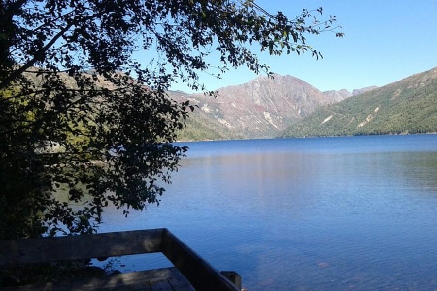 From Seattle: Mount Saint Helens Monument Private Day Trip - Trails without the forced hike