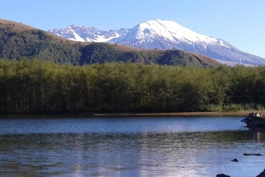 From Seattle: Mount Saint Helens Monument Private Day Trip - A private, 9-hour schedule that keeps your day moving