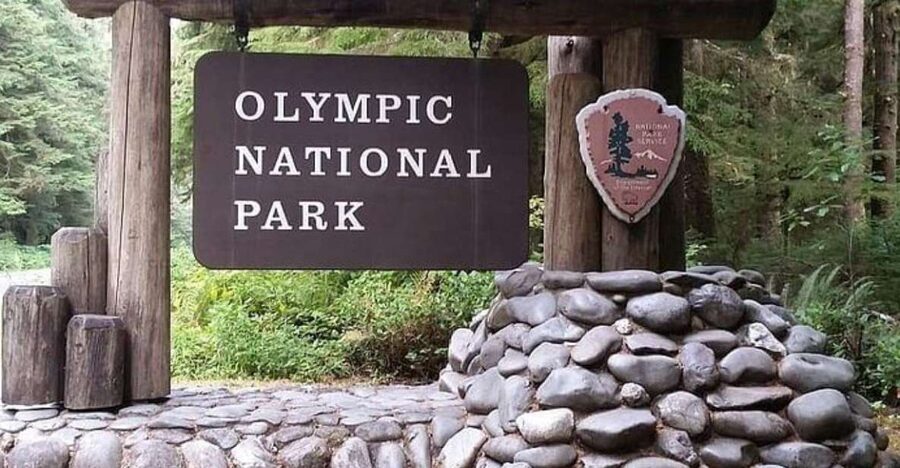 From Seattle: Olympic National Park Full Day Tour - Key things I’d watch for