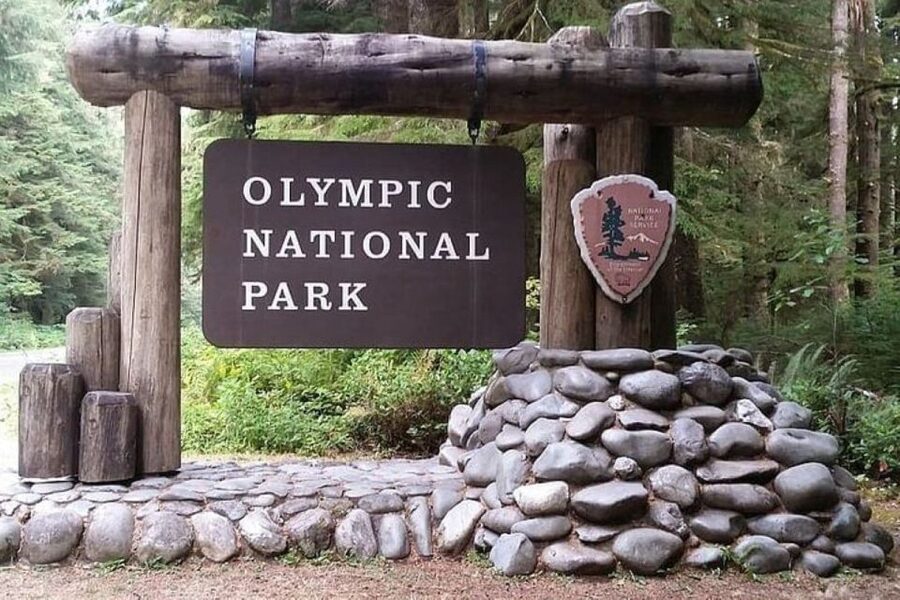 From Seattle: Olympic National Park Full Day Tour - Animal Farms on the way through Sequim: a quick change of pace