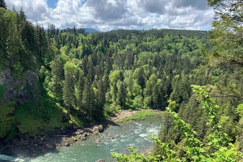 From Seattle: Pacific Northwest Waterfalls & Hiking Tour - Snoqualmie Falls: 270 feet of waterfall, with a full hour to enjoy it
