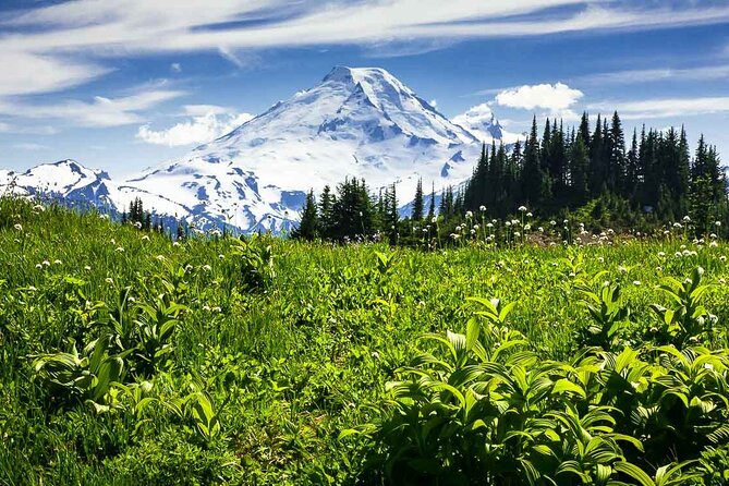 From Seattle - Private Mt Baker and Cascades Tour in SUV - Fairhaven Historic District: A Real Small-Town Break From the Highway